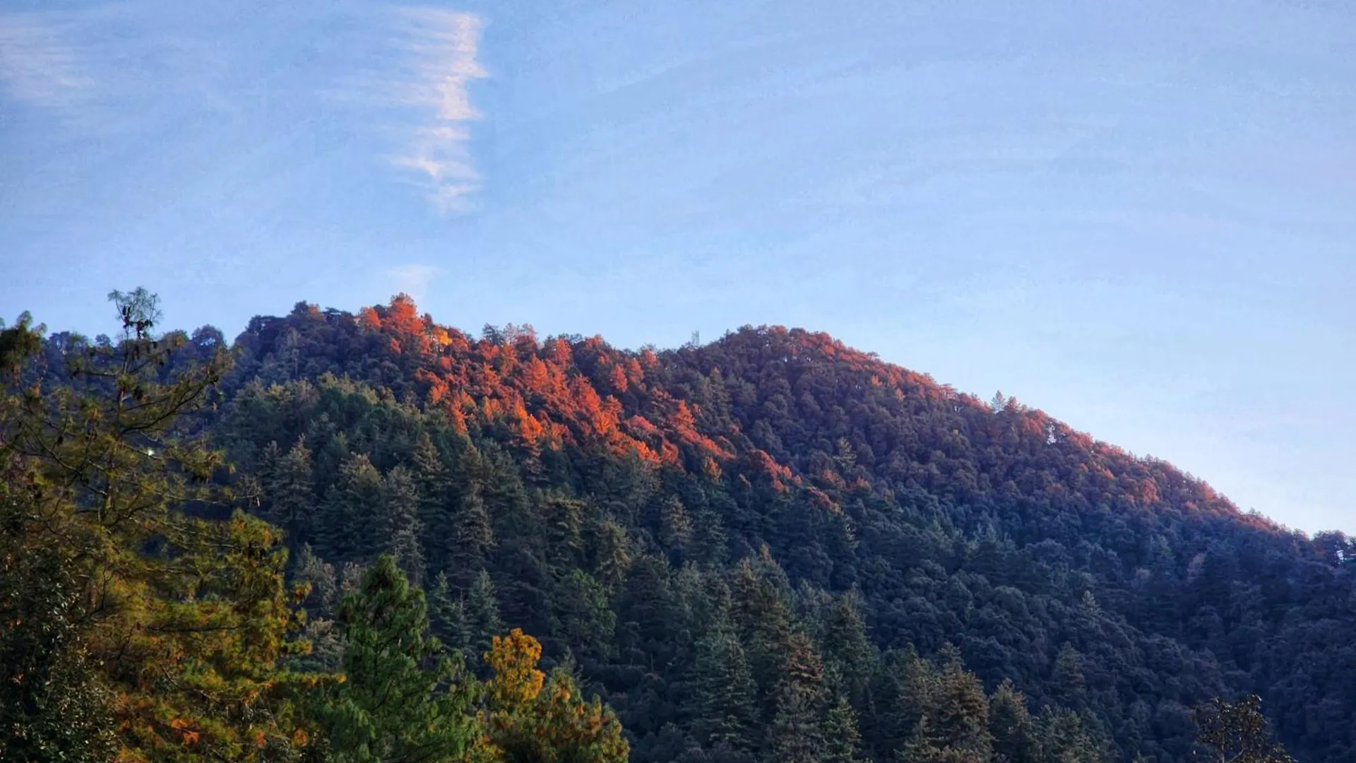 Kamna Hill Resort A Boutique Cottages Shimla